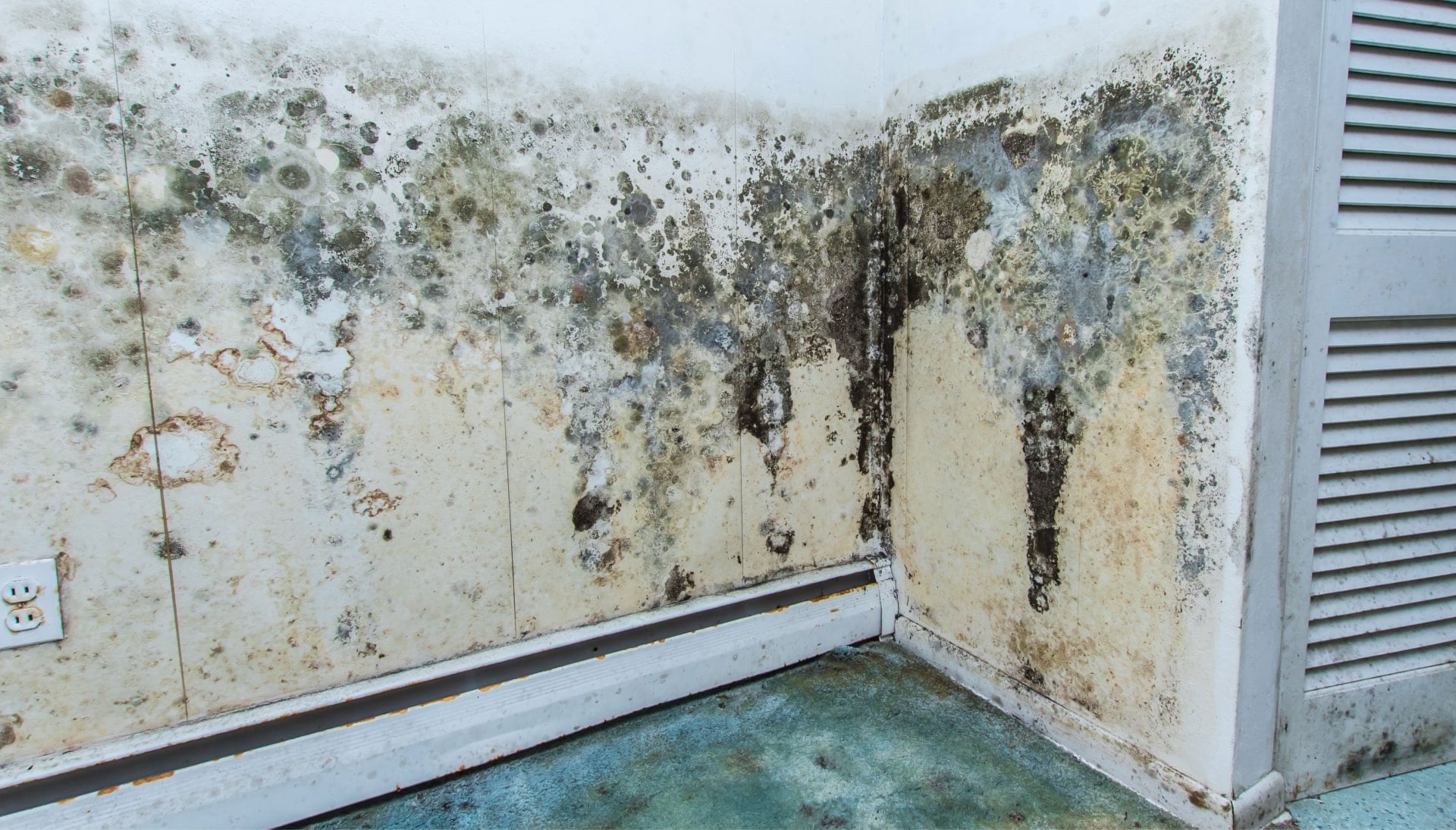 Professional mold removal, odor control, and water damage restoration service in Winter Park, Florida.