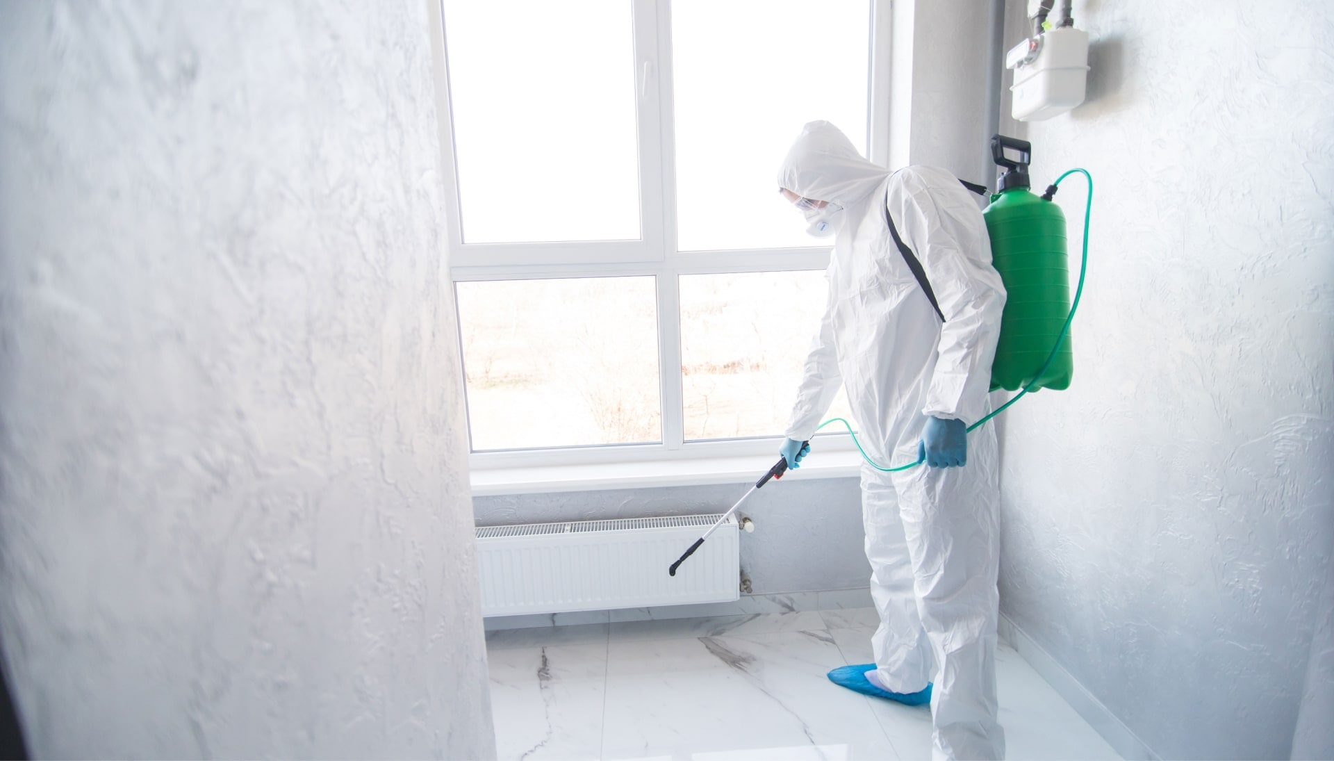 We provide the highest-quality mold inspection, testing, and removal services in the Winter Park, Florida area.